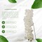 49" Phalaenopsis Orchid Stem – Lifelike Silk Blooms for Weddings, Events & Home Décor